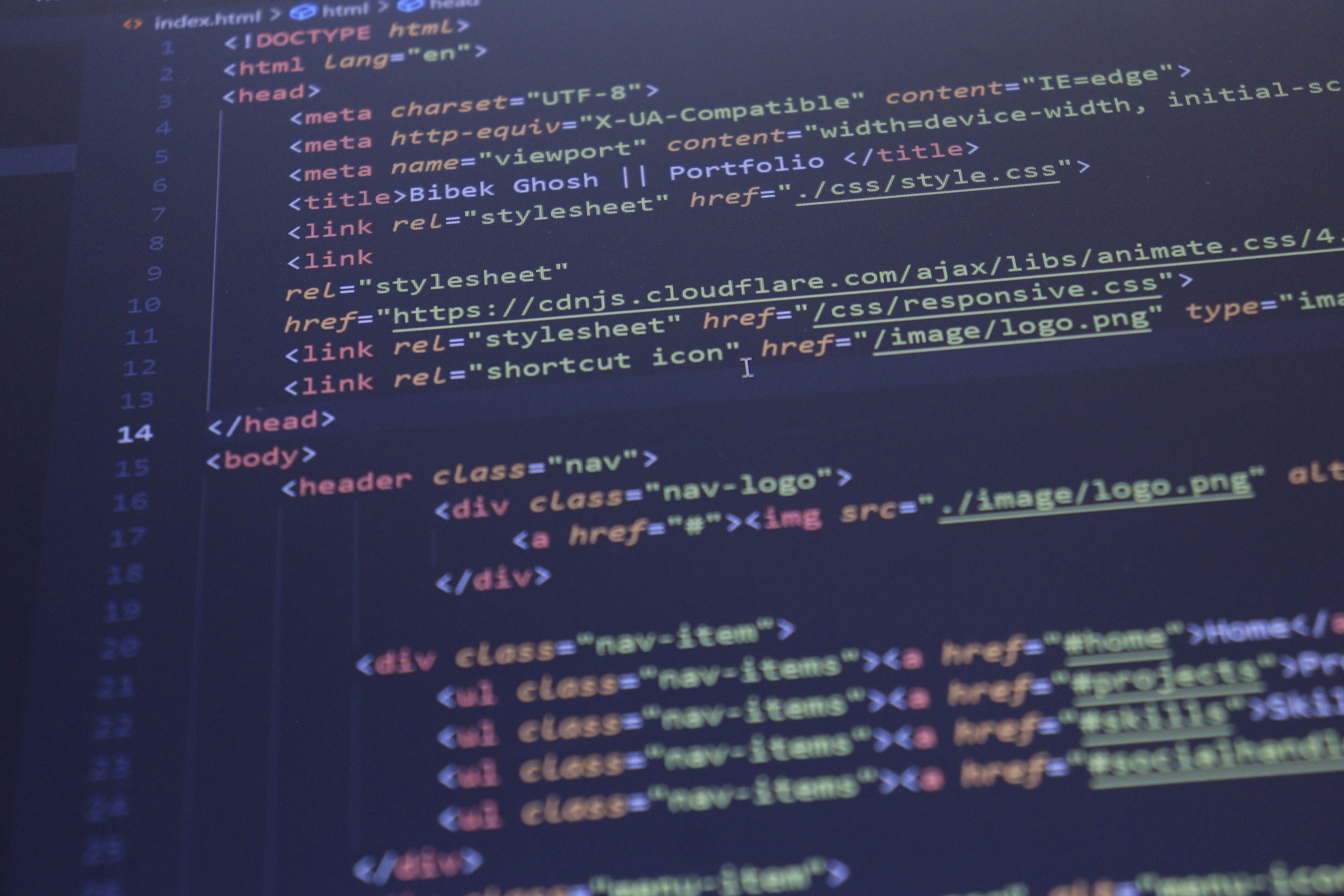 Website Development (Standard)