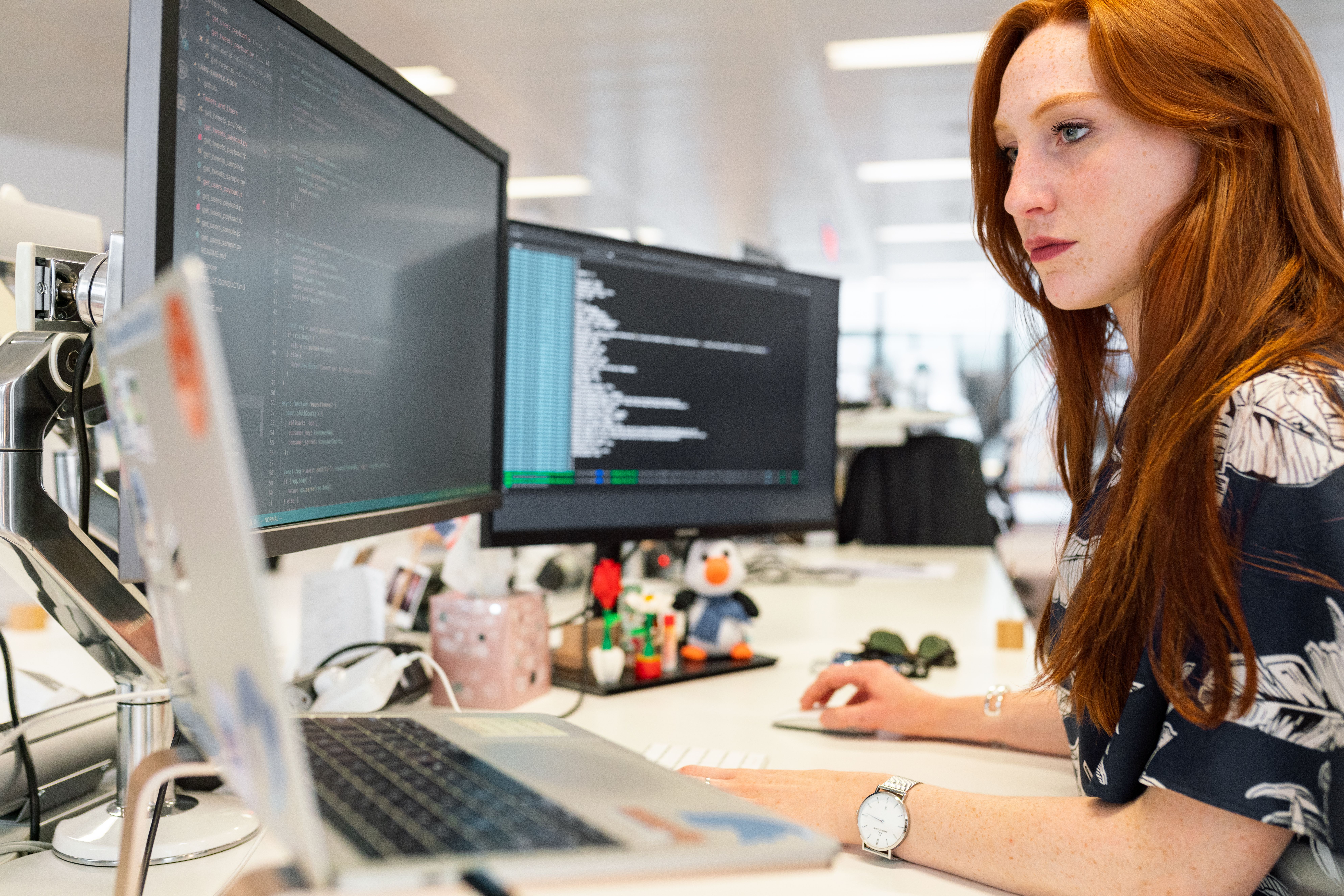 Website Development (Premium)