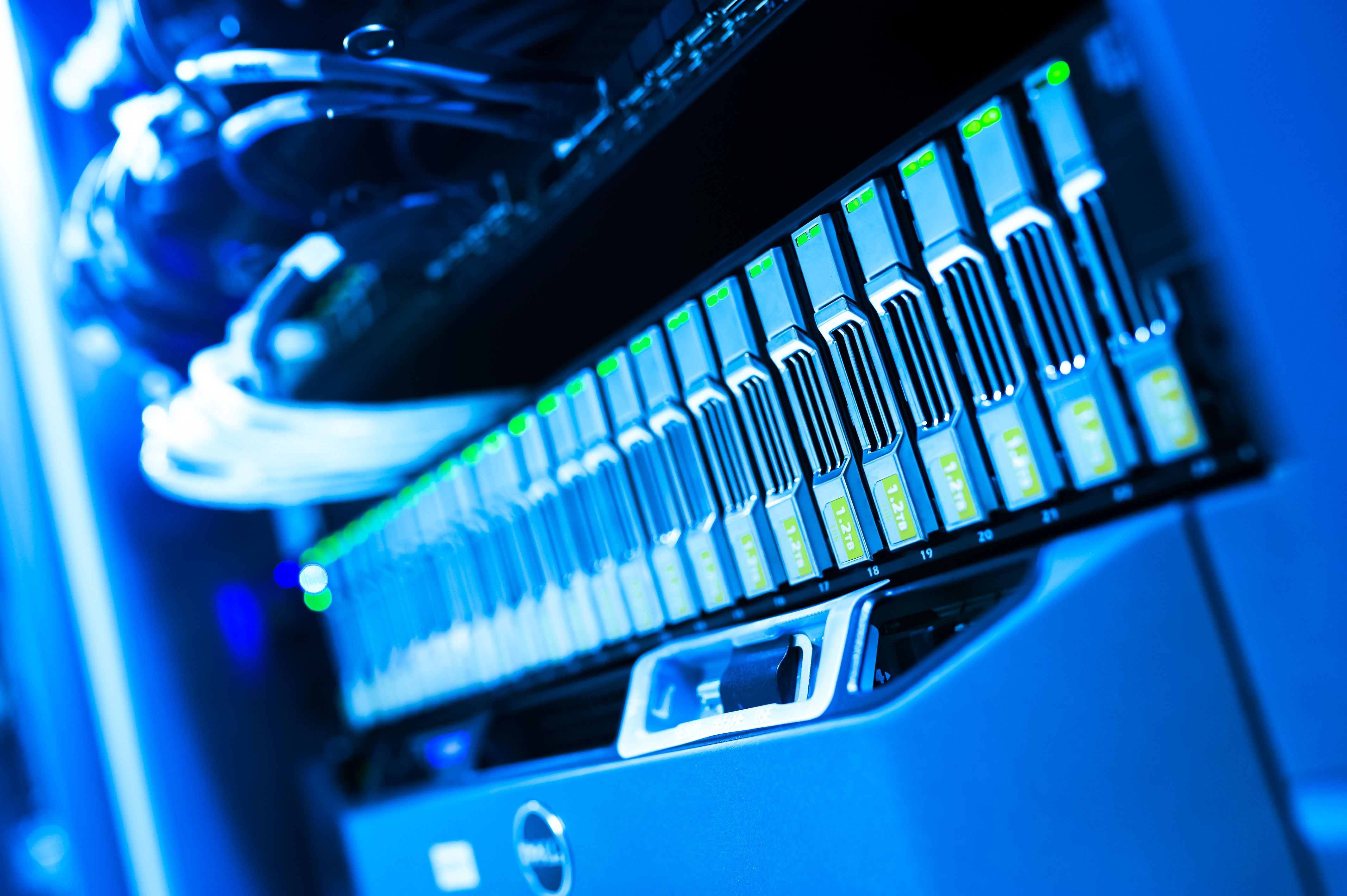 Web Hosting – (5GB Plan)